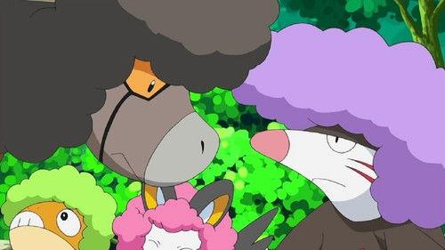 Pokémon Season 15 Episode 18 - Baffling the Bouffalant!