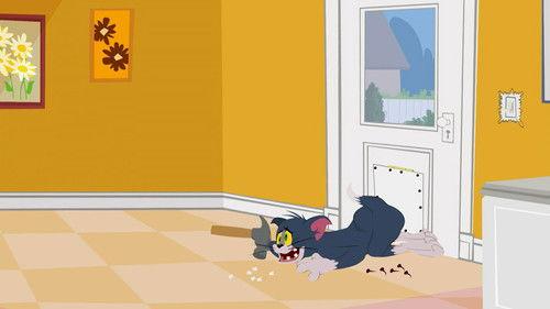 The Tom and Jerry Show Season 1 Episode 15 - Entering and Breaking
