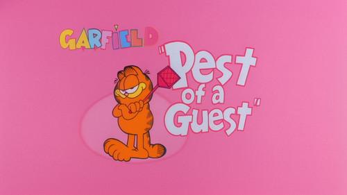 Garfield and Friends Season 2 Episode 1 - Pest of a Guest
