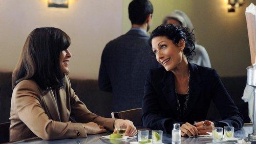 The Good Wife Season 3 Episode 5 - Marthas and Caitlins