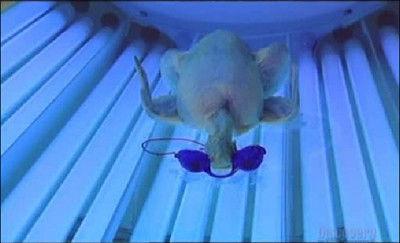 MythBusters Season 1 Episode 7 - Penny Drop