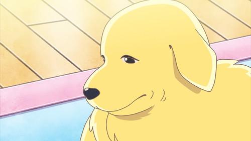 Mamekichi Mameko – The Daily Life of a NEET Season 1 Episode 2 - Episode 2