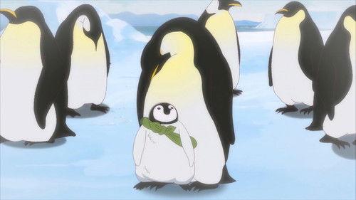 Welcome, Chitose-chan Season 1 Episode 8 - Episode 8