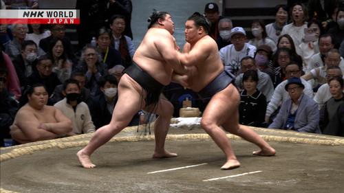 GRAND SUMO Highlights Season 27 Episode 8 - Day 8