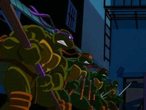 Teenage Mutant Ninja Turtles Season 1 Episode 1 - Things Change