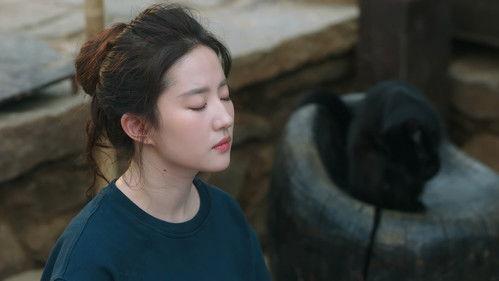 Meet Yourself Season 1 Episode 16 - The Reason for Taking on This Arduos Path