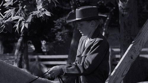 The Adventures of Spin and Marty Season 1 Episode 12 - The Snipe Hunt