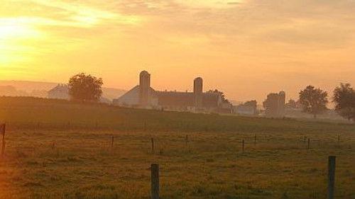 Natural World Season 17 Episode 17 - The Farm That Time Forgot