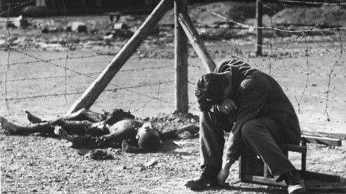 Annihilation Season 1 Episode 6 - The Survivors