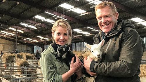Countryfile Season 33 Episode 14 - 24 Hours in the Lambing Shed