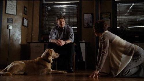 undefined Season 4 Episode 13 - An Embarrassment of Bitches