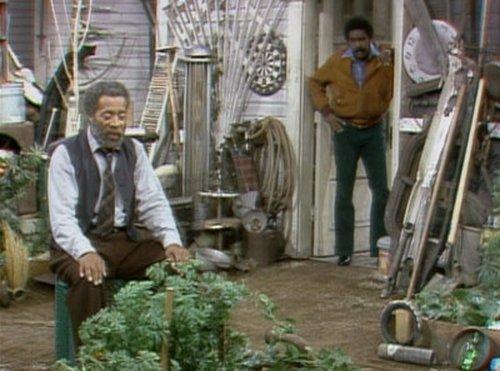 Sanford and Son Season 4 Episode 11 - Fred's Treasure Garden