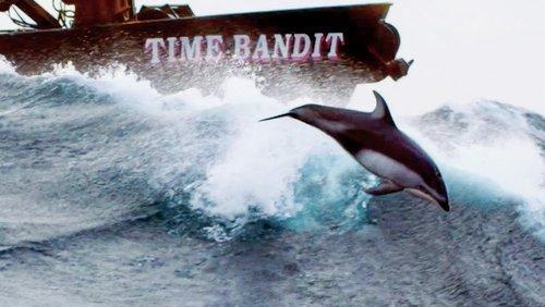 Deadliest Catch Season 20 Episode 6 - The Purpose of Porpoises