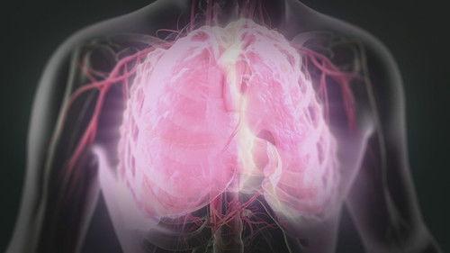 License to Kill Season 1 Episode 3 - Lethal Injections