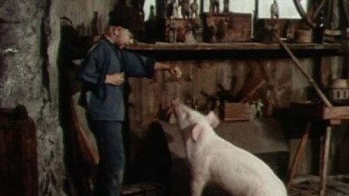 undefined Season 1 Episode 11 - Sugga är också galen!