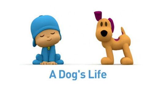 Pocoyo Season 1 Episode 39 - A Dog's Life