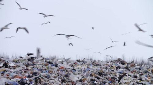 Éboueurs Season 1 Episode 8 - Episode 8