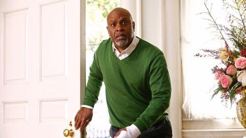 Grey's Anatomy Season 8 Episode 16 - If Only You Were Lonely