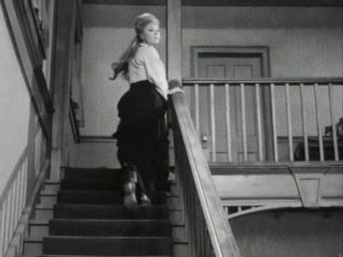 Gunsmoke Season 8 Episode 12 - The Way It Is