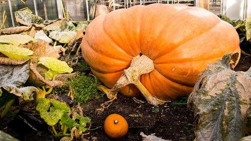 Background image for Big Trouble