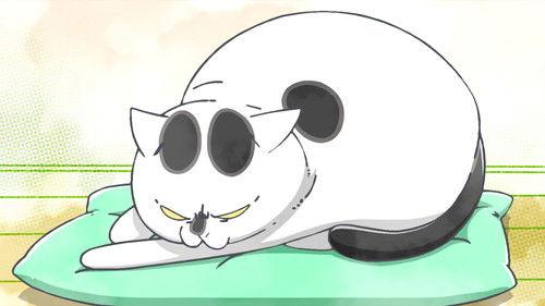 With a Dog AND a Cat, Every Day Is Fun Season 1 Episode 24 - Dog and Cat