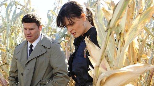 undefined Season 6 Episode 12 - The Sin in the Sisterhood