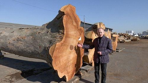 Japanology Plus Season 11 Episode 2 - Forestry