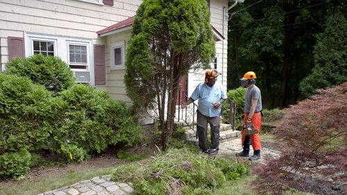 Ask This Old House Season 23 Episode 10 - Trash Insert, Arborvitae Removal