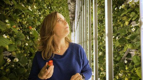 Ça vaut le coût Season 9 Episode 24 - Episode 24