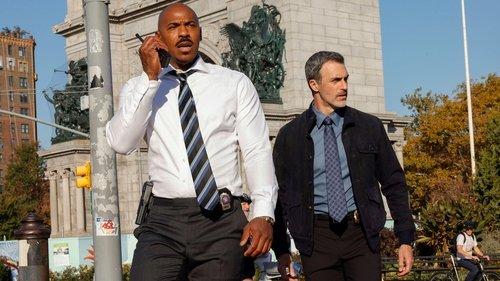 Law & Order Season 24 Episode 9 - Enemy of the State