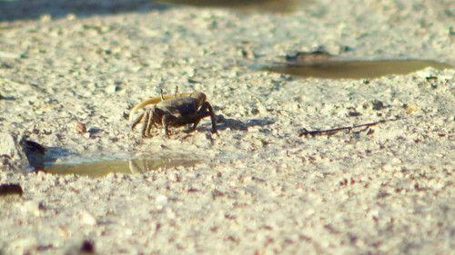 Background image for Episode 4