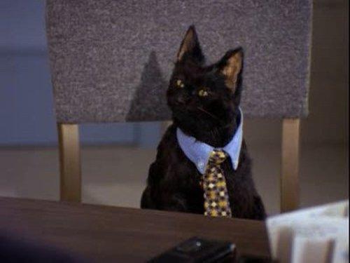 Sabrina, the Teenage Witch Season 1 Episode 22 - The Great Mistake