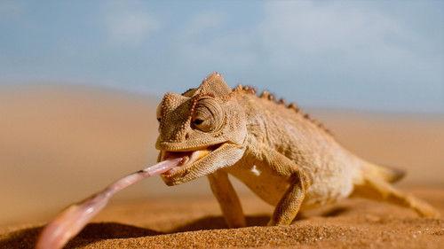 Tiny World Season 2 Episode 6 - Dune