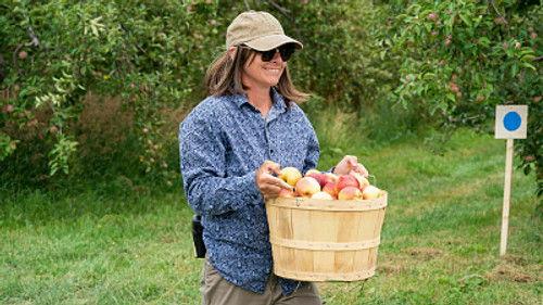 Tough As Nails Season 5 Episode 5 - How Do You Like Them Apples?