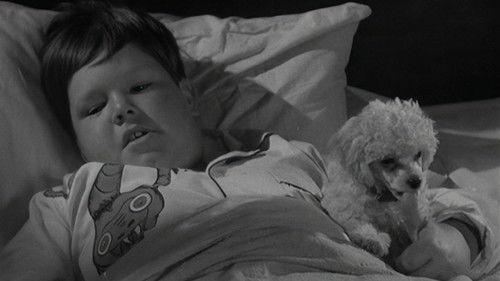 The Addams Family Season 1 Episode 2 - Morticia and the Psychiatrist