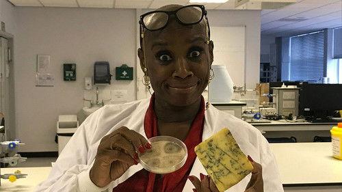 Food Unwrapped Season 19 Episode 7 - Sunflower Seeds, Rhubarb, Sugar in Milkshakes