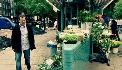 Background image for Giraffe