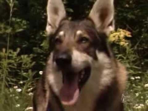 Background image for Dragonslayer