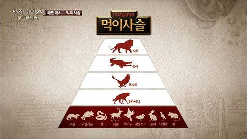 The Genius Season 2 Episode 1 - Food Chain
