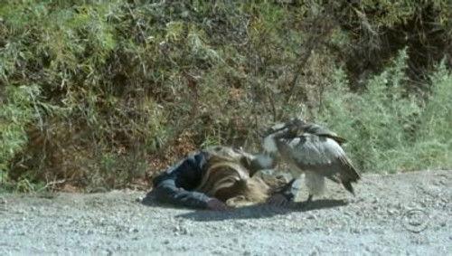 undefined Season 3 Episode 12 - Nine Wives