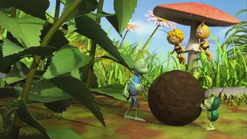 Maya the Bee Season 1 Episode 20 - The Wild Bunch