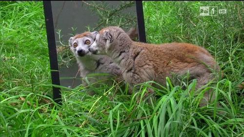 Superquark Season 20 Episode 2 - Episode 2