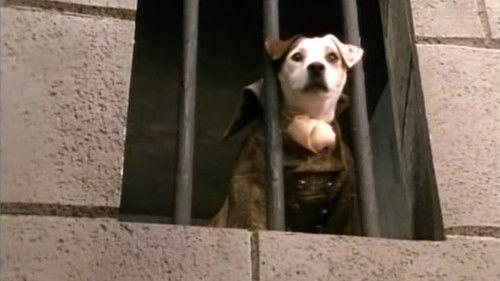 Wishbone Season 1 Episode 16 - A Tale of Two Sitters