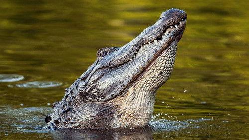 America the Beautiful Season 1 Episode 2 - Waterland