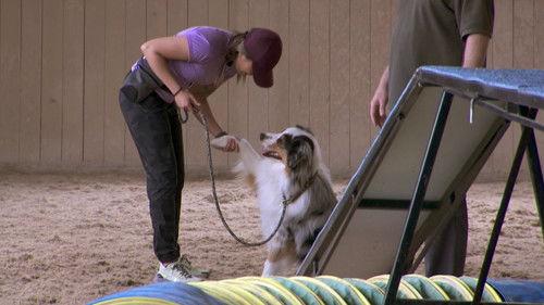 The Amazing Race Canada Season 8 Episode 6 - Racing for Our Lives