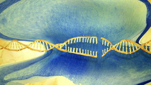 Découverte Season 32 Episode 9 - Episode 9