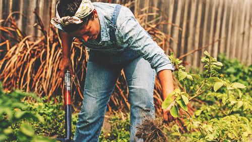 A Girl's Guide to Hunting, Fishing and Wild Cooking Season 1 Episode 5 - Episode 5