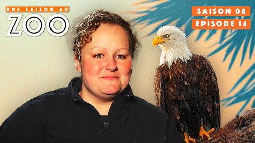 Une saison au zoo Season 8 Episode 14 - Episode 14