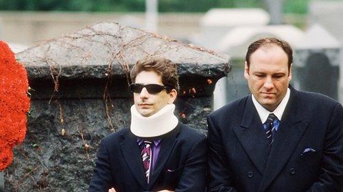 The Sopranos Season 1 Episode 4 - Meadowlands
