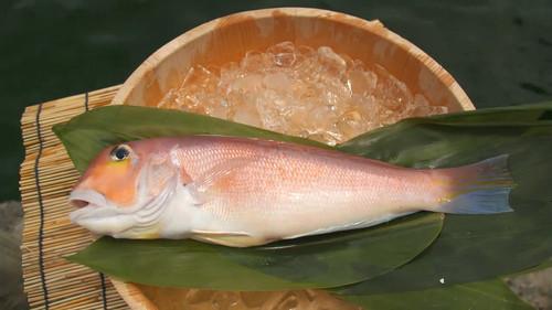 Background image for Amadai